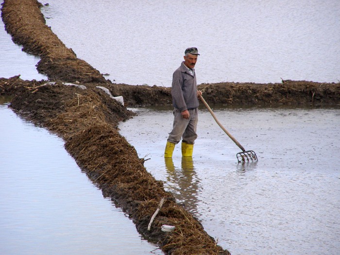bei Uzumk�pri Reisbauer