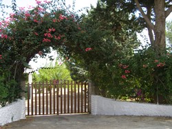 Ferienhaus Apulien Gutsche Casa Olivo  Einfahrt