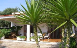 Ferienhaus Apulien Casa Olivo Blick auf Gartenterrasse