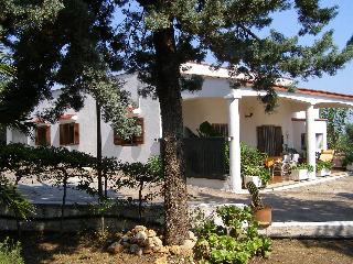 Ferienhaus Apulien Casa Olivo Blick auf Haus